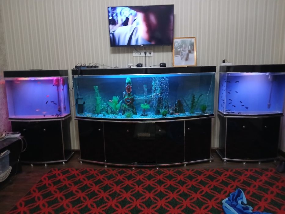 Аквариум сотилади