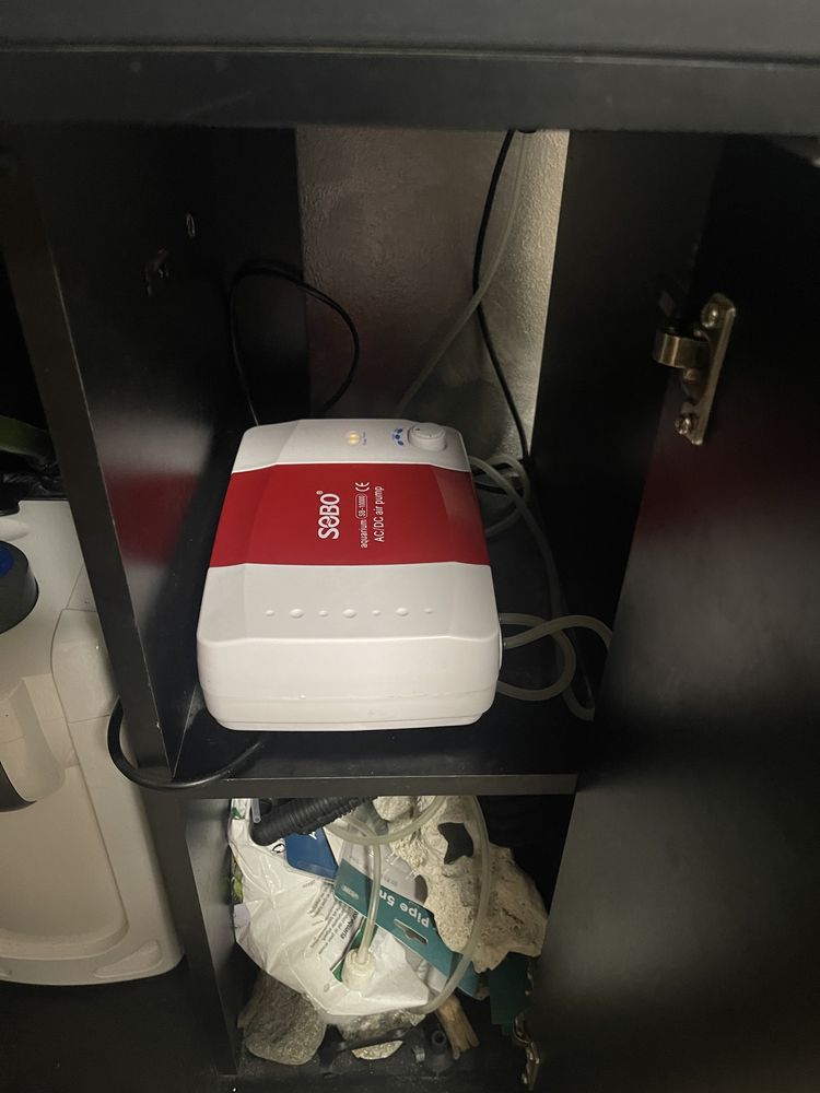 Acvariu cu pesti 200L