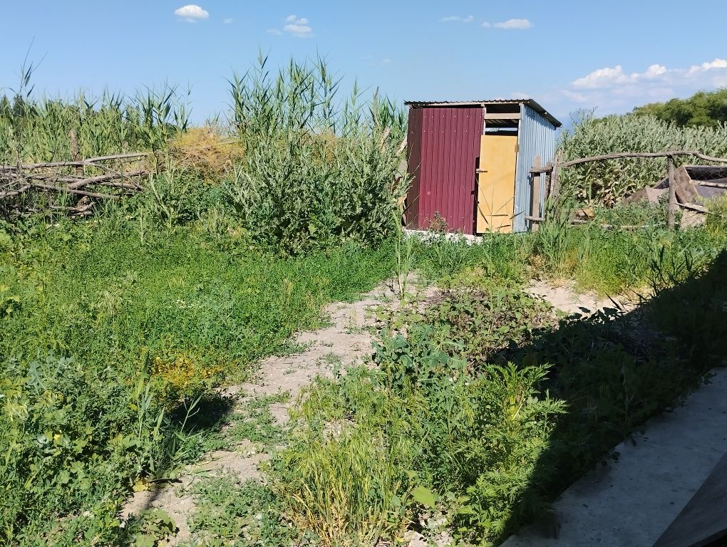 Продам дом в дачном массиве
