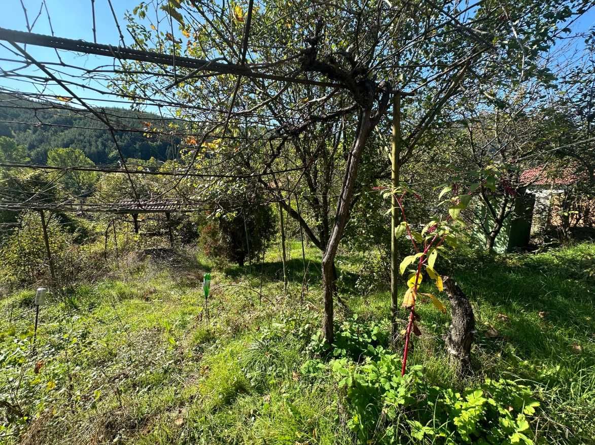 Продава се Къща в с. Владо Тричков, Област София-област - 24 кв.м за 1584 €/кв.м - Снимка #7