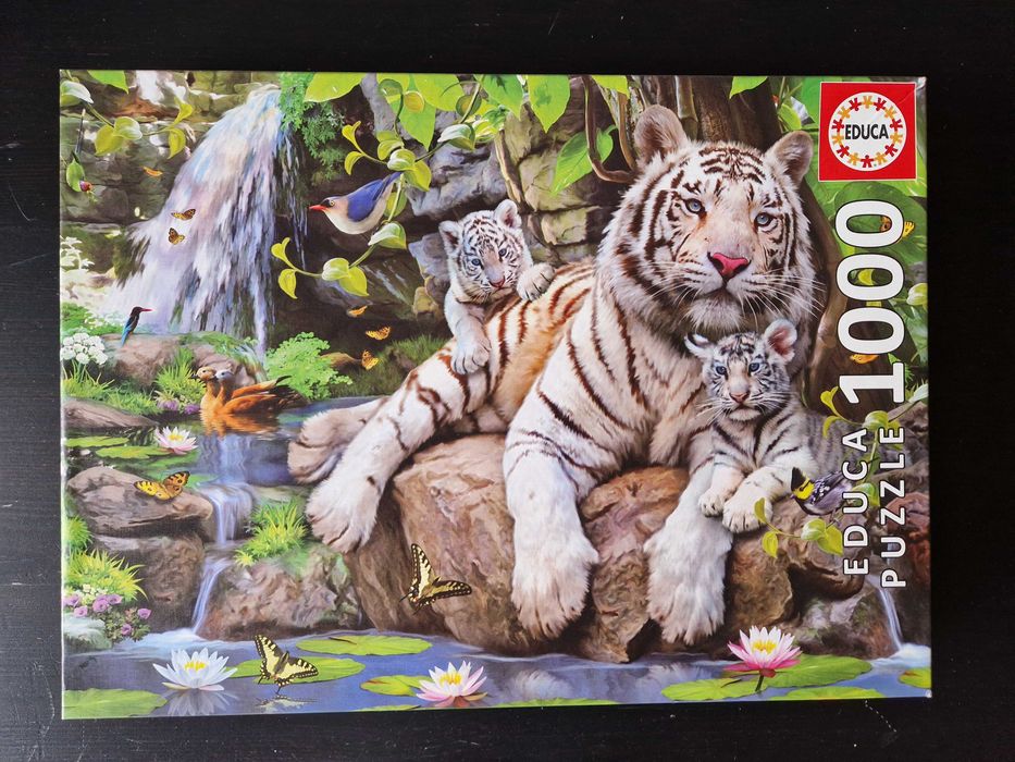 Пъзел 1000 части - Бели тигри, Educa