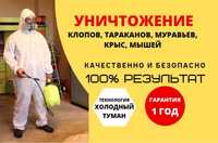 Профессиональное уничтожение клопоа, тараканов, грызунов. 100%