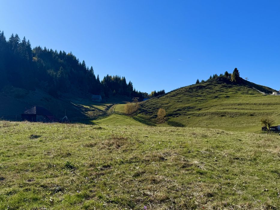 Teren intravilan 8400 mp, Fundata, 10 km distanta fata de Bran Moieciu