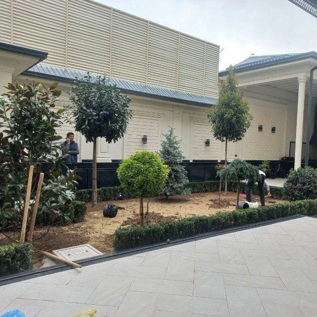 Gazon va landshaft xizmatlari