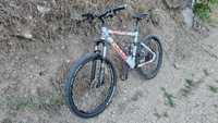 Bicicleta MTB full suspension Focus Bud