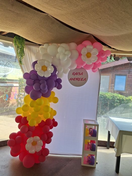 Baloane si aranajamente din baloane