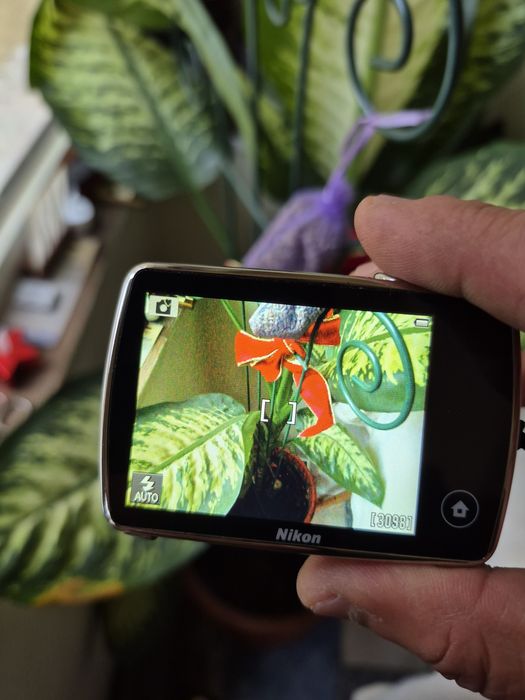 Compact digital Nikon Coolpix S01