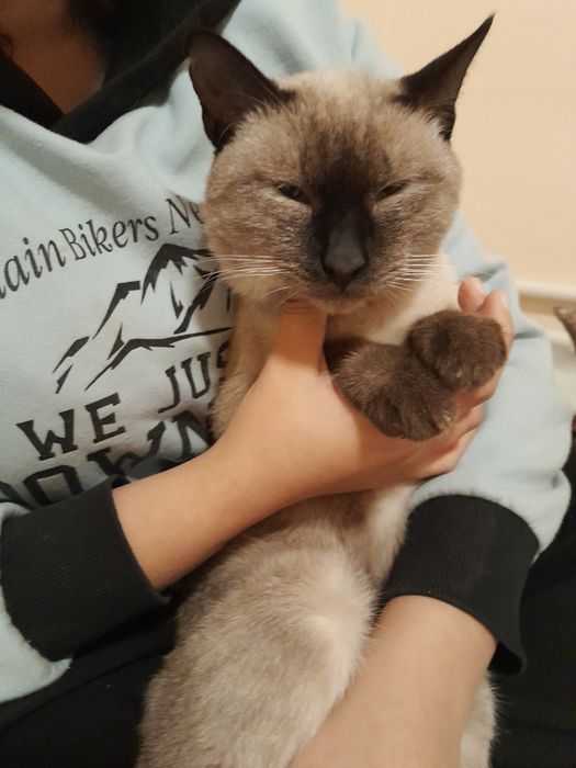 O'lgunicha garantiya beriladi