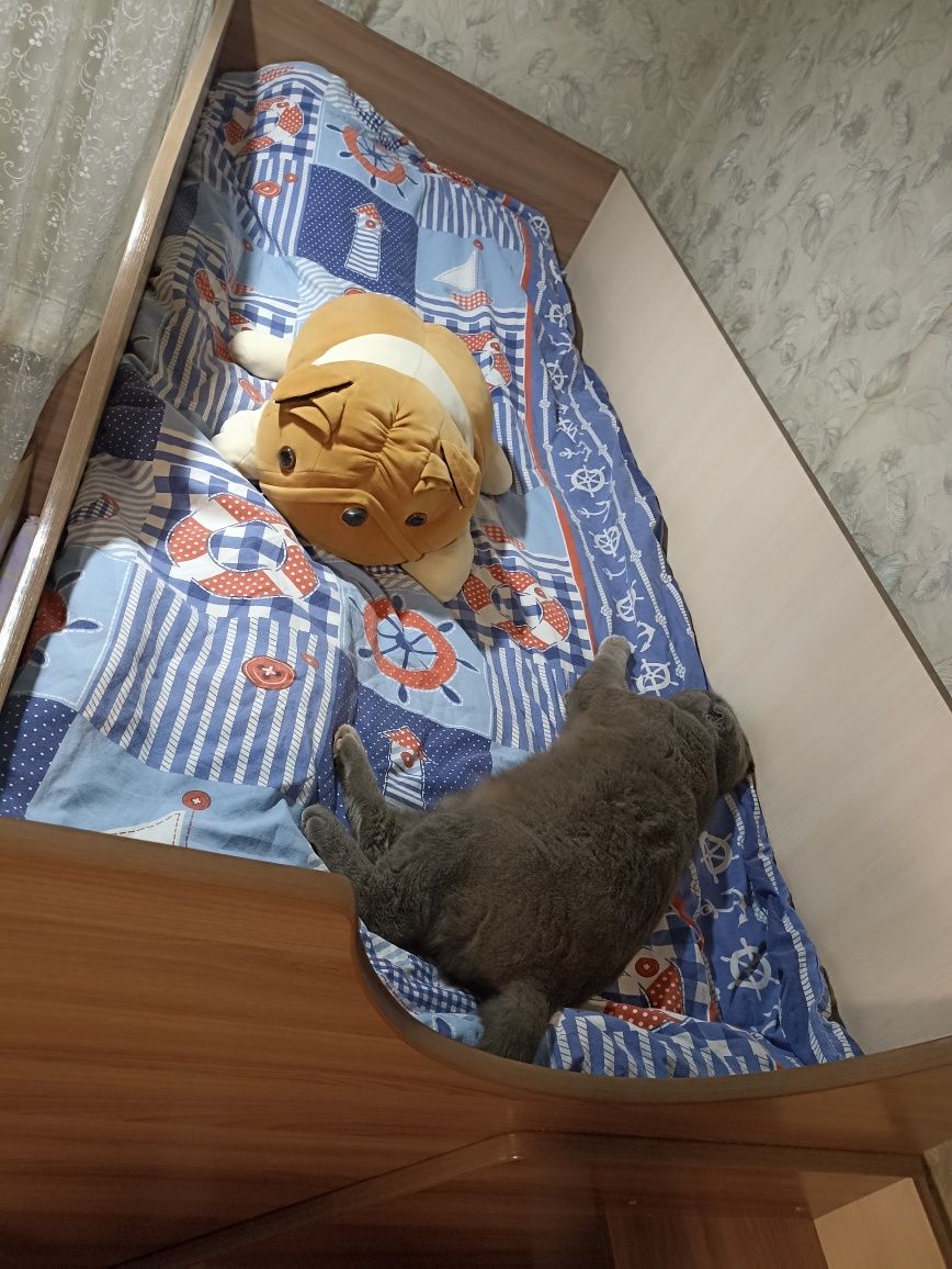 Продам двух ярусную кровать
