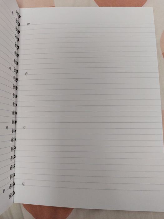 Caiet spiră A4 100 file