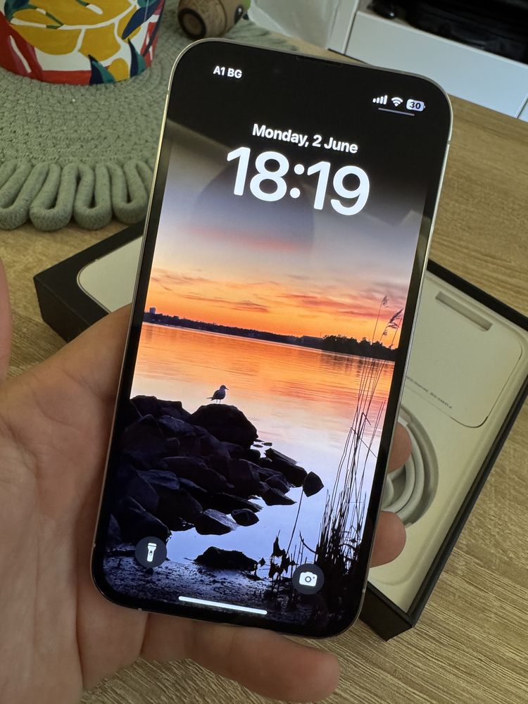 Iphone 13 pro silver/white