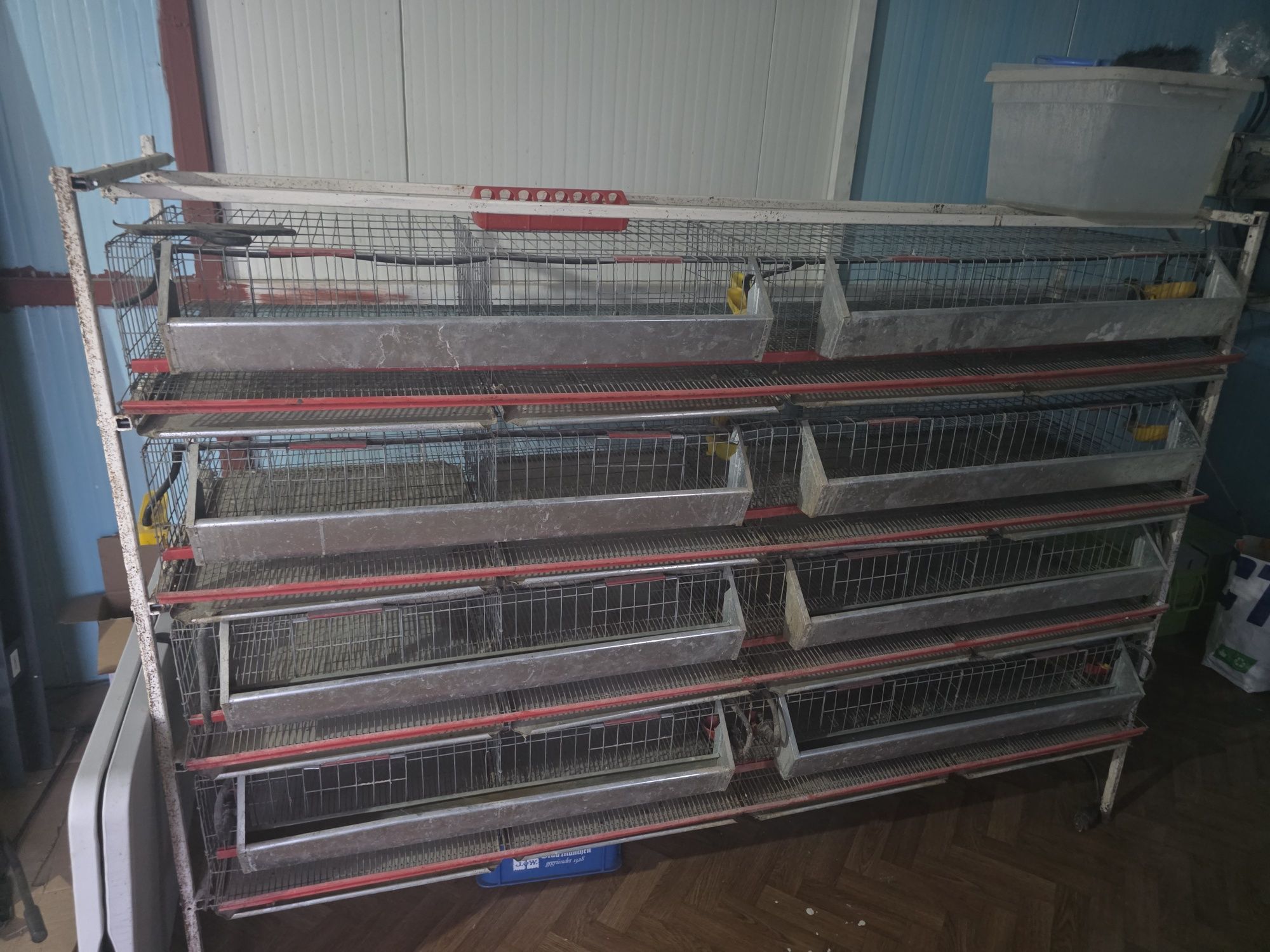 Cuști prepelite + 2 maternități + incubatoare cleo