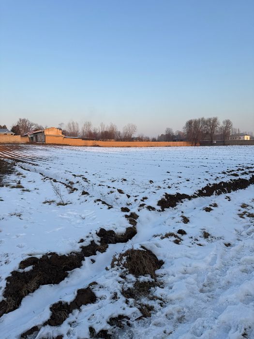 Срочно продается земля Янгиюль Бетонка