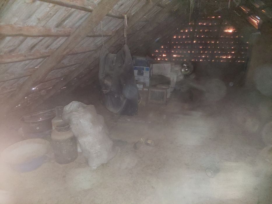 Executam curateni curti pivnite etc