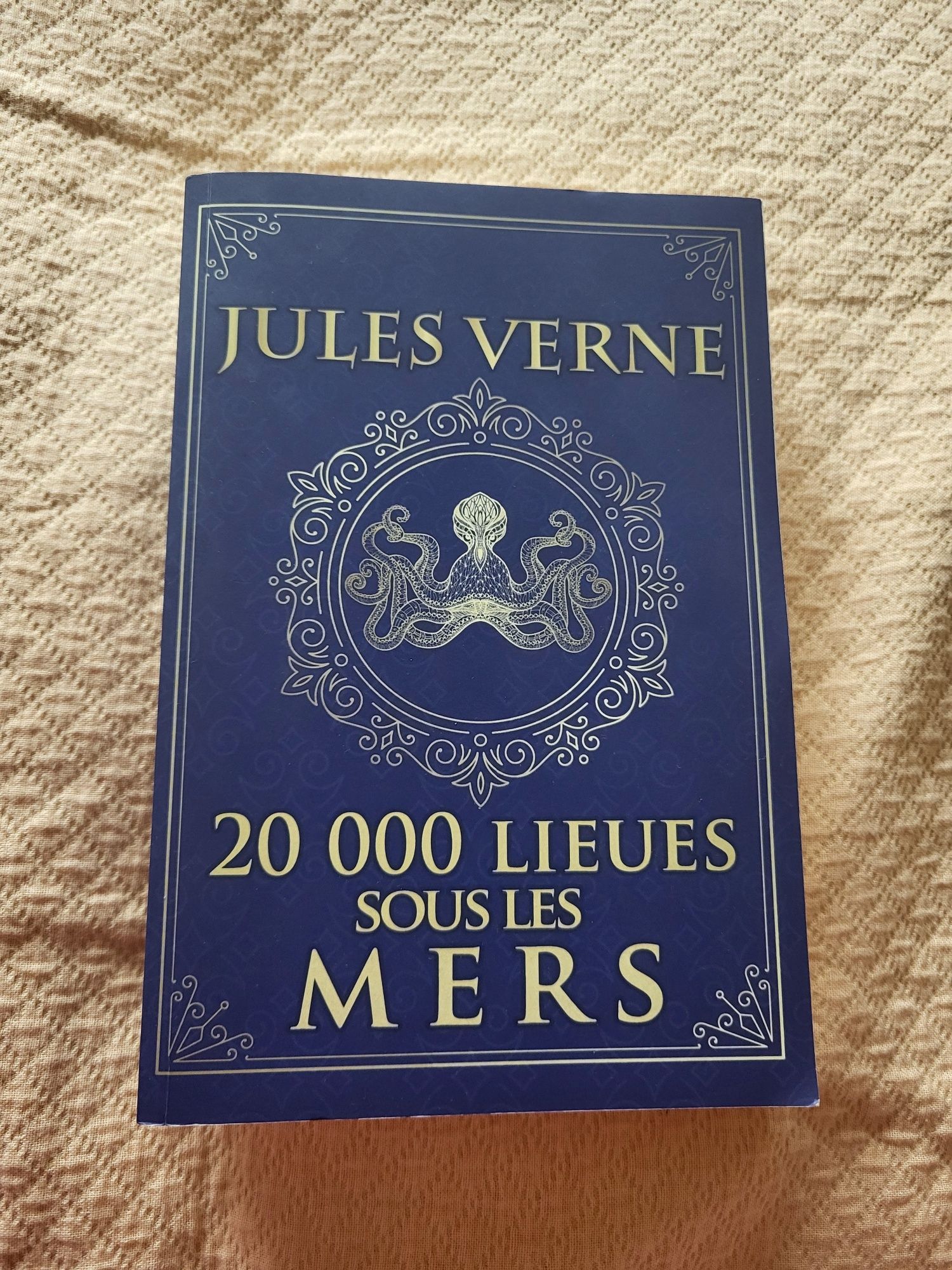 "20.000 de leghe sub mări" în franceză