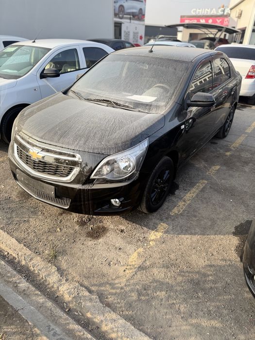 Cobolt midnight qora krasska tozza