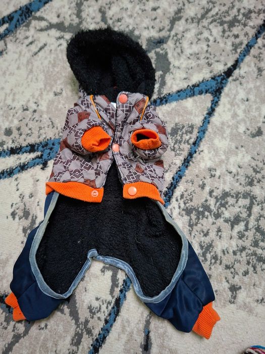 Одежда для собак