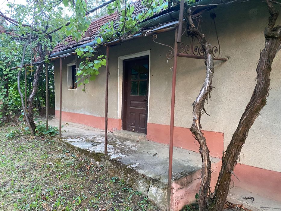 Imobiliare de Vanzare casa