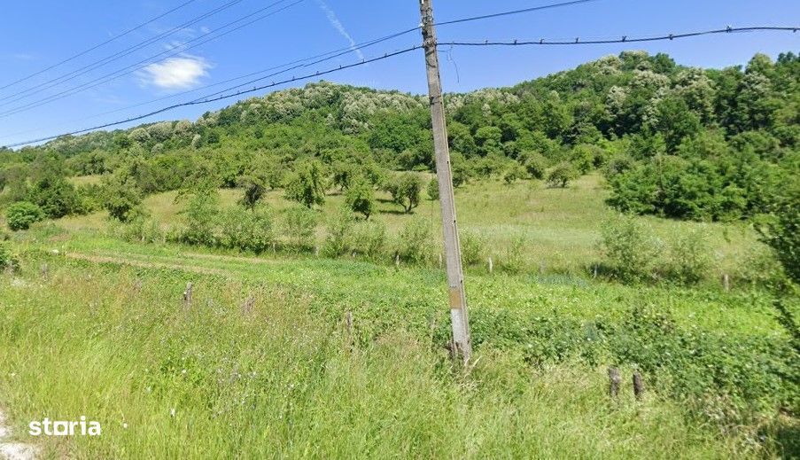 Teren / Zona Subcarpatica / Stoenesti /