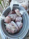 Curcani crescuți natural, din bătătură! 
Carne albă, curată, gustoas