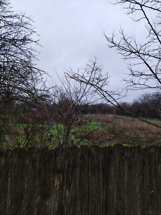 Casă+teren intravilan