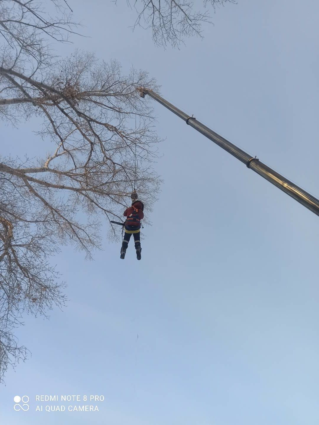 Санитарная Обрезка деревьев,Спиль,Агаш,тал кесемиз!