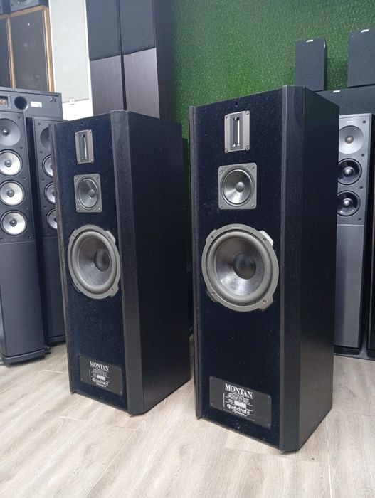 Тонколони QUADRAL Montan Mk-II