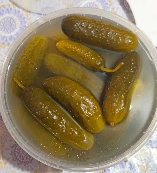 castraveti murati / 10-13 cm