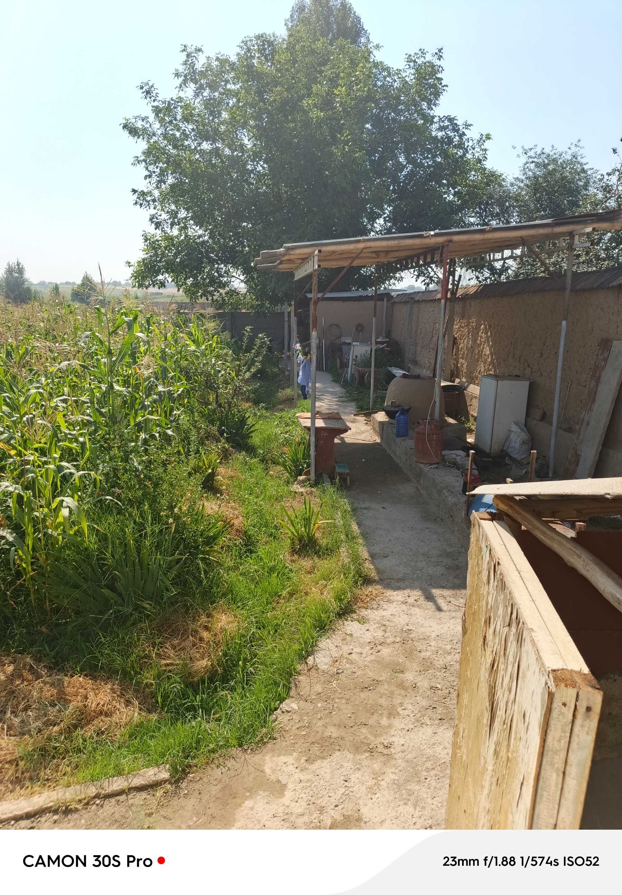 Cрочна  янигюл туманида 10сотх уйни,4 Ёки 5 сотги сотилади. Ёки хамаси