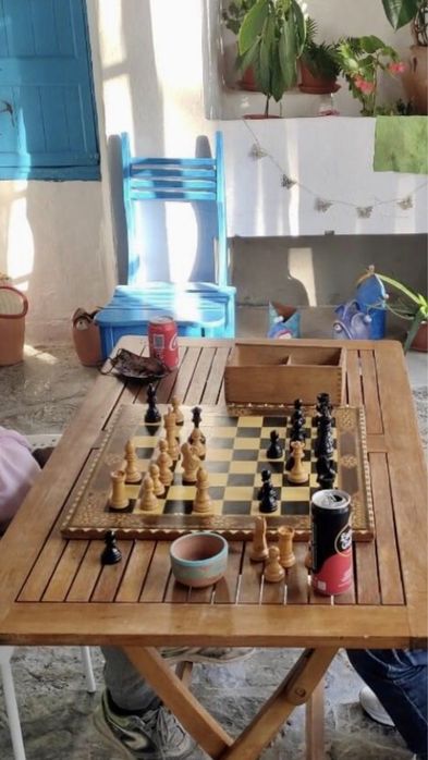 Ore de șah cu profesor maestru internațional