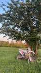 Vand/Schimb cu auto Honda CRF450 R
