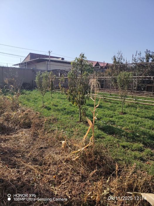 Yer sotiladi 4 sotix