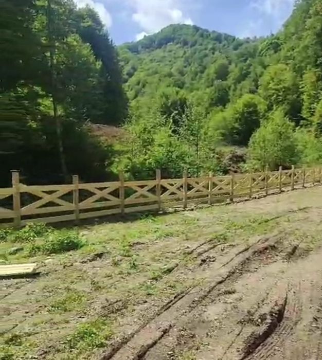 Stalpi de gard din stejar