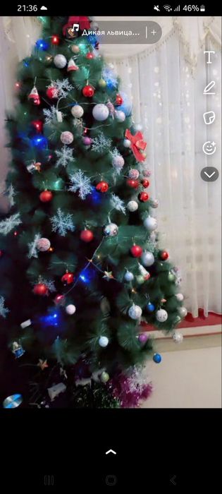 Продаю Ёлку 2,40 см