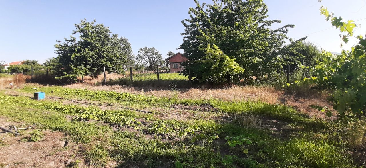 Продава се Земеделски имот в с. Конуш, Област Пловдив -  кв.м за 20000 €/дка - Снимка #3