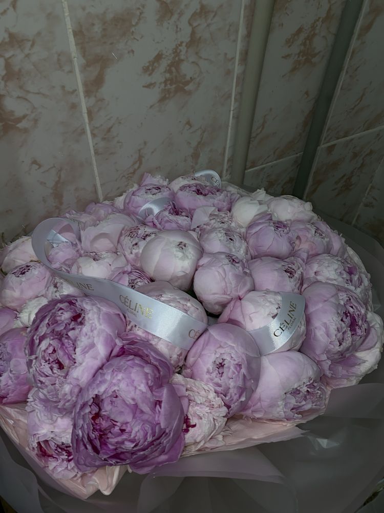 пионы состояние 10/9,