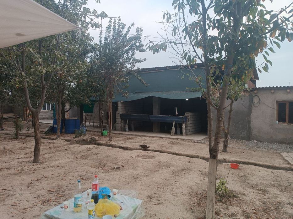 Арзон! Бўзсувда 8 Соток Ховли Сотилади!