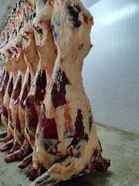 Мясо говядины на кости