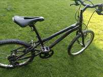 Bicicleta copii 200 lei negociabil