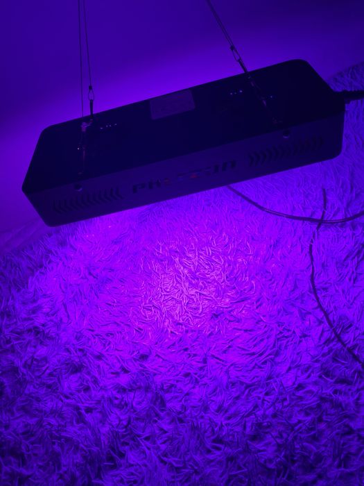 Led grow light lampa ultraviolet perfecta pentru cresterea platelor