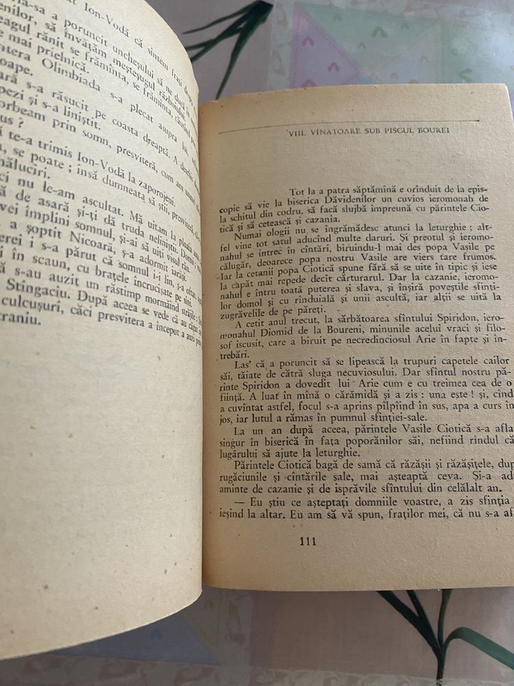 Mihail Sadoveanu-Nicoară Potcoavă, 1967