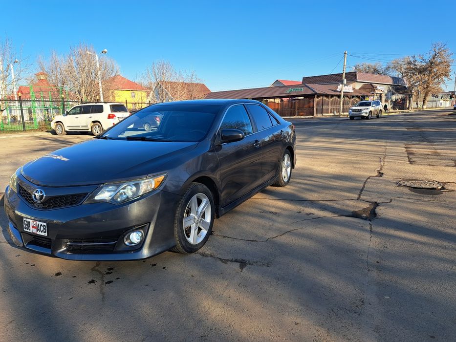 Перевозка пассажиров