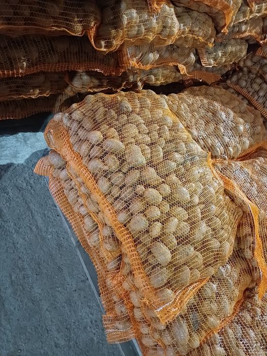 Cartofi de consum si de animale