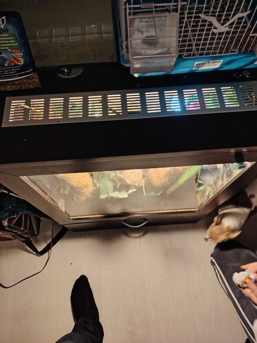 Терариум за хамелеон или друго