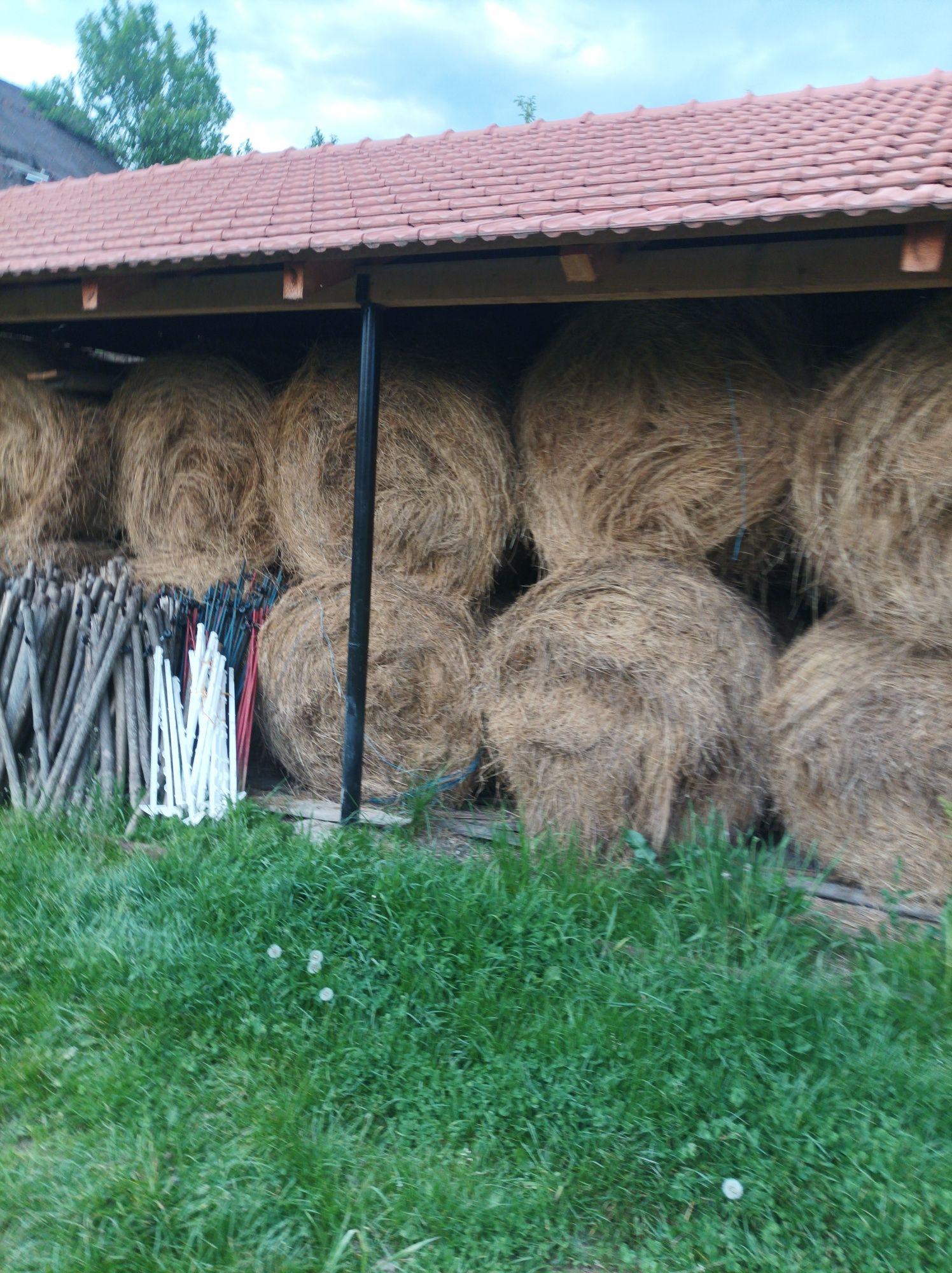 Vând baloți de fan