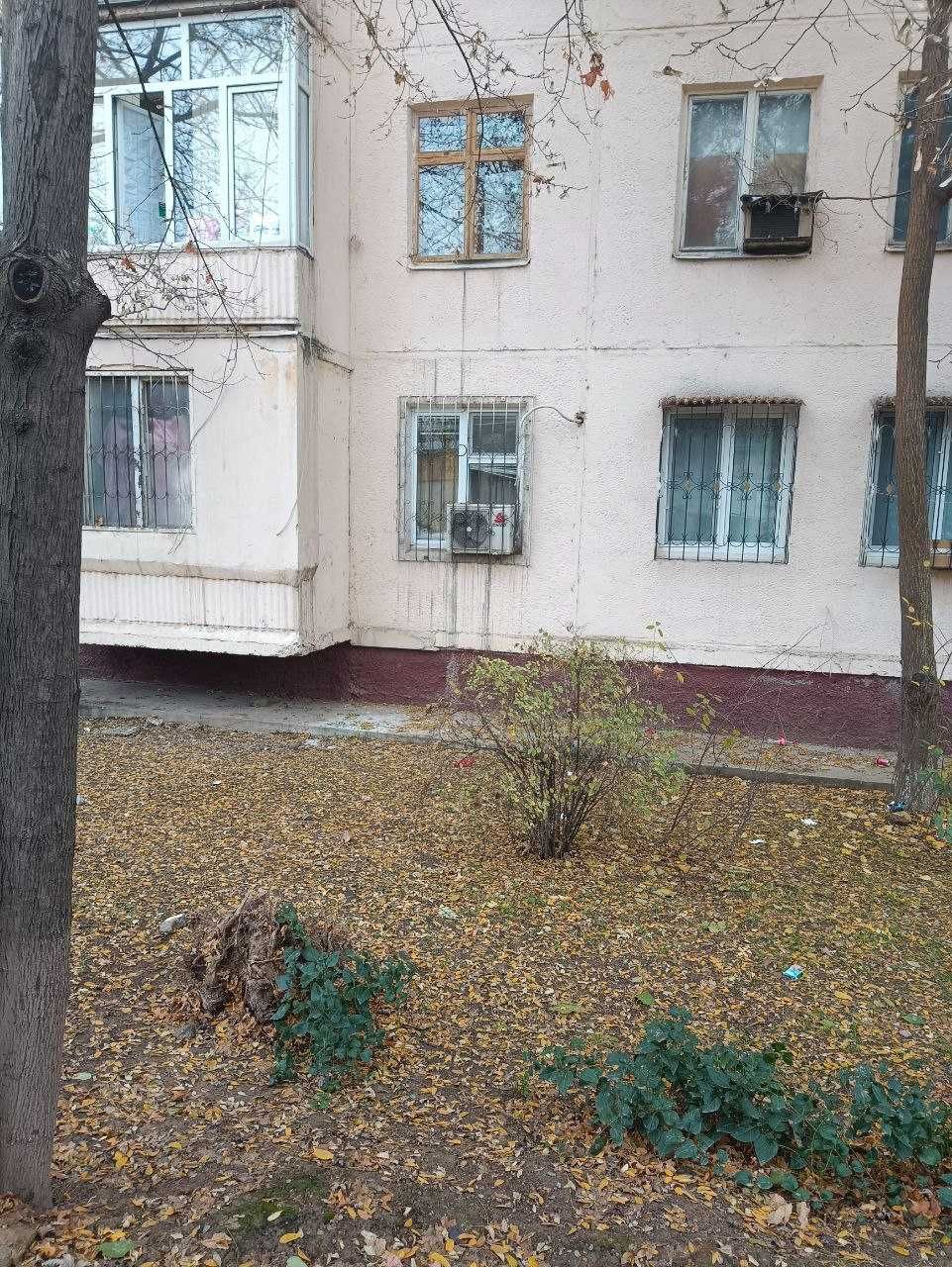 2/1/5 Туркво максим горький БИЙ Художников своя