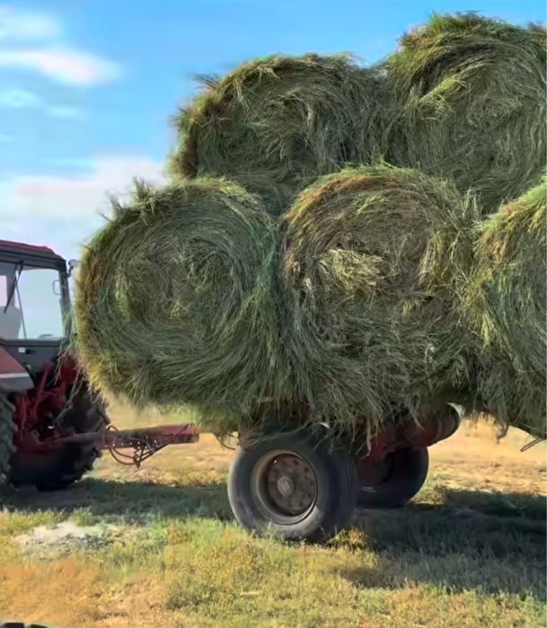 Продам сена в рулонах