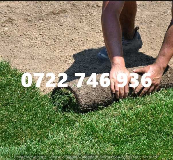 Gazon Rulou , Sisteme de irigare oriunde in Tara Calitate extra