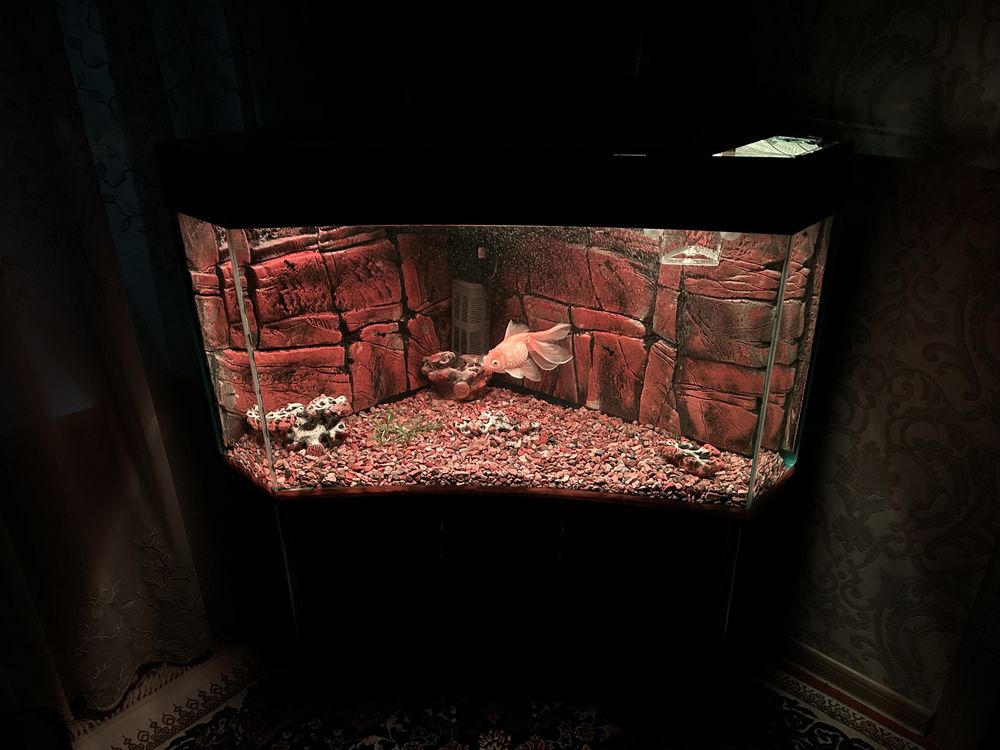 Угловой аквариум с тумбочкой