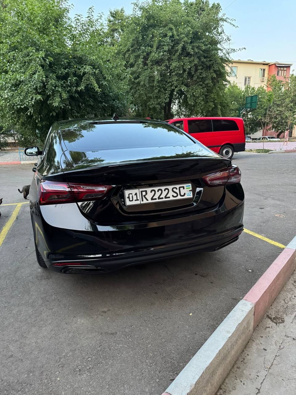 Malibu primer 2021 black edition